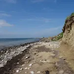 5 Star In
